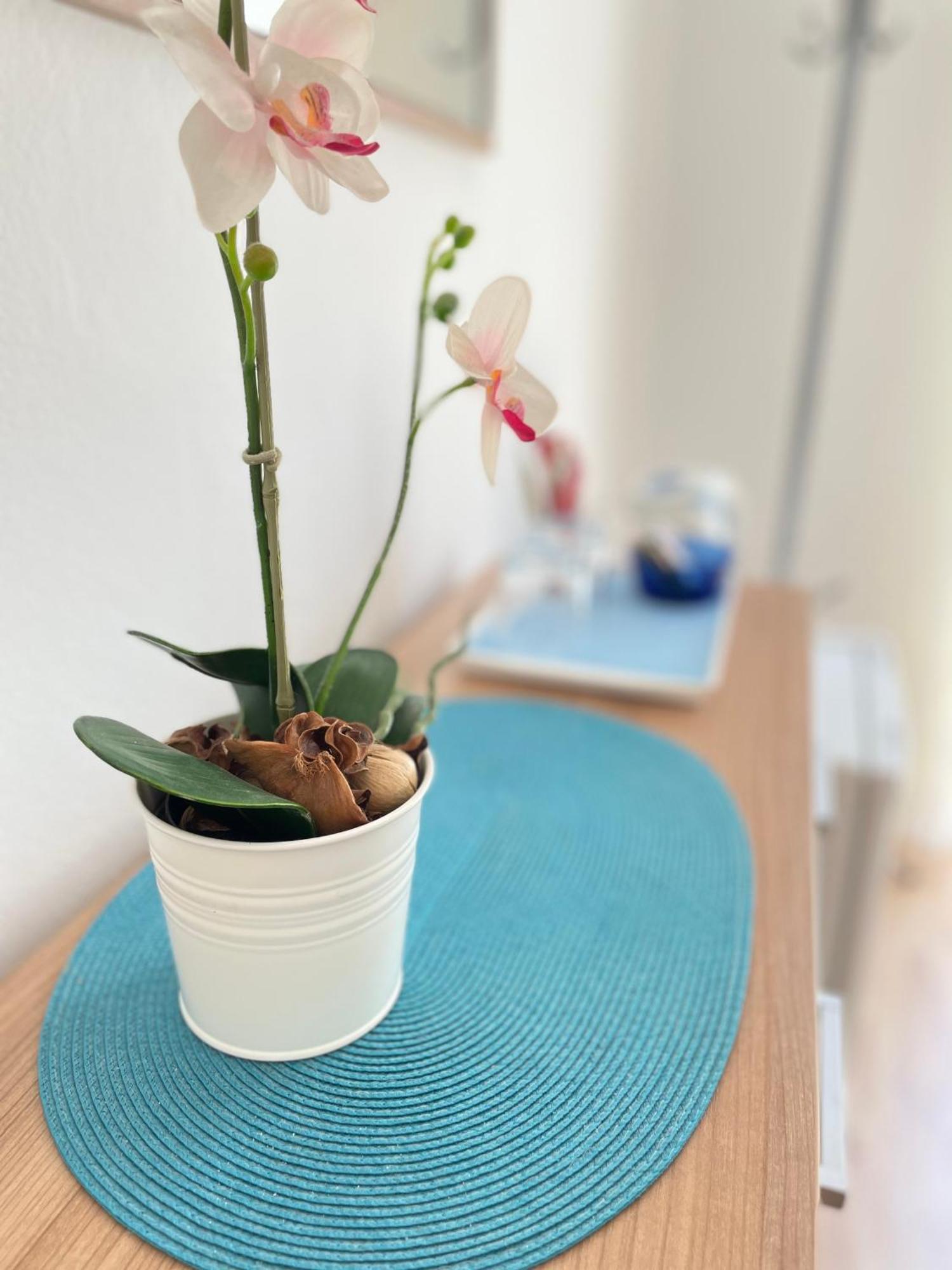 Guesthouse Mm Dubrovnik Dış mekan fotoğraf